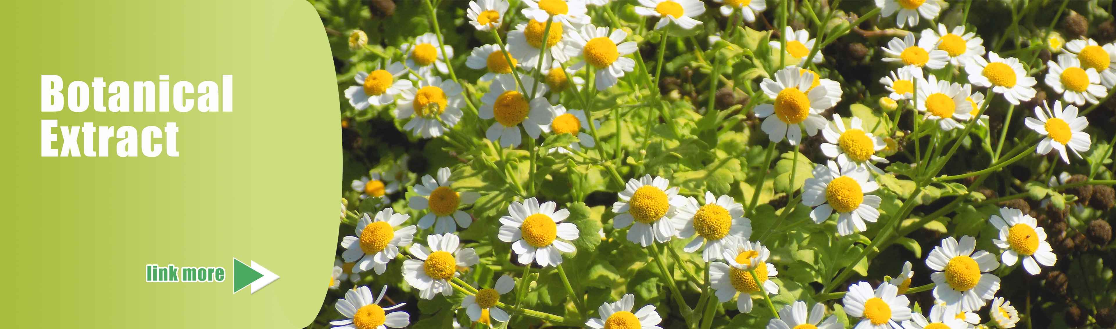 Botanical Extract